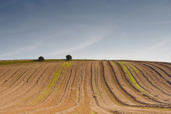 Ploughed fields in countryside — Stock Photo, Image