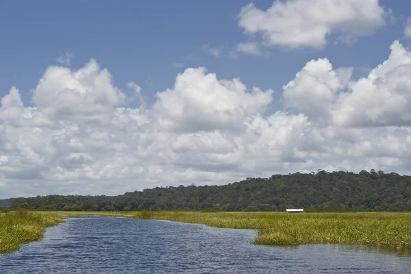 Beau lac en Guyane française — Photo