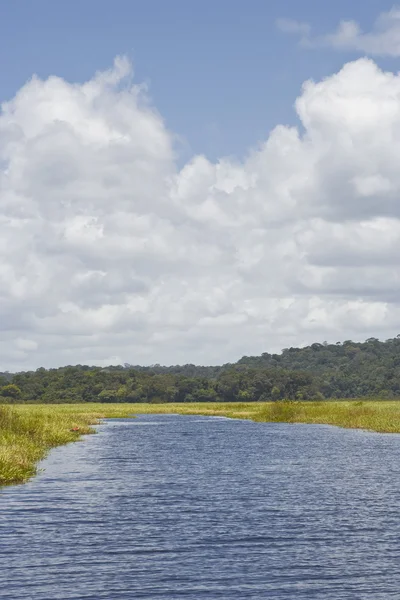 Beau lac en Guyane française — Photo