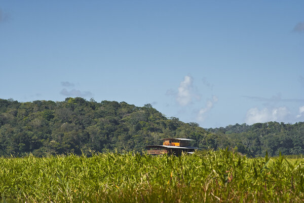 Красивое озеро во Французской Гвиане
