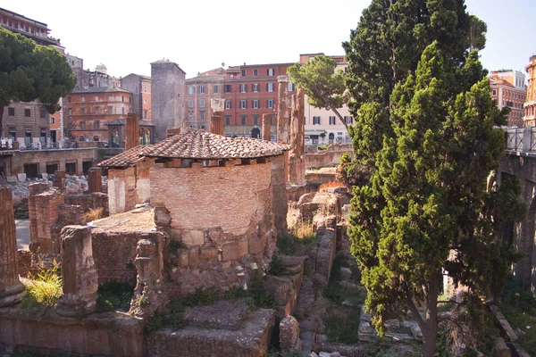 周辺のサクラのローマ時代の遺跡 — ストック写真