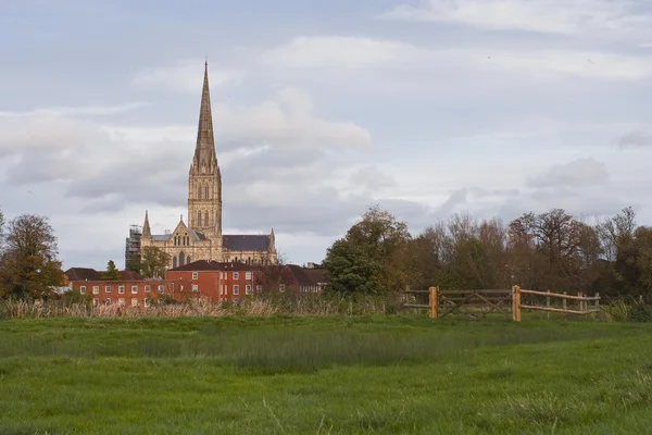 Salisbury cathedral across  meadows — Stock Photo, Image