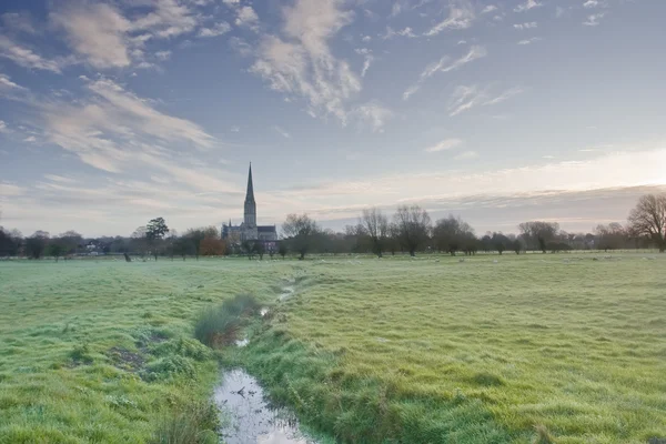 Catedral de Salisbury através dos prados — Fotografia de Stock