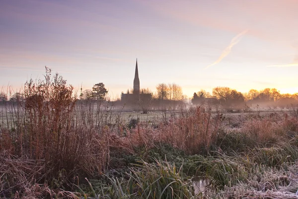 Catedral de Salisbury a través de prados —  Fotos de Stock