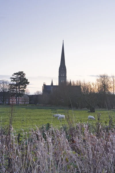 Cattedrale di Salisbury attraverso i prati — Foto Stock