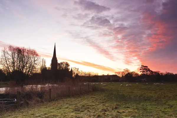 Salisbury cathedral across  meadows — Stock Photo, Image