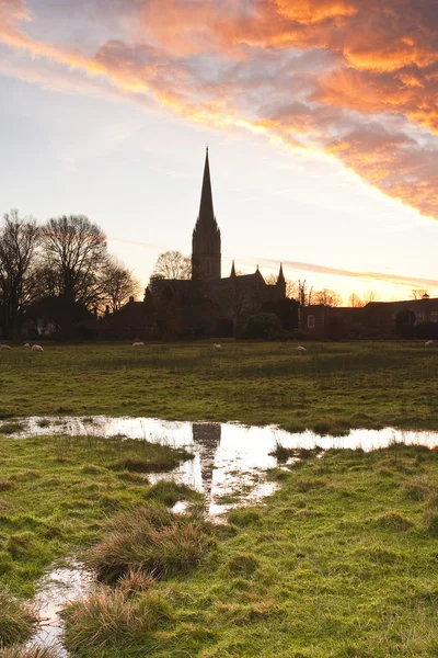 Salisbury-Kathedrale über Wiesen — Stockfoto