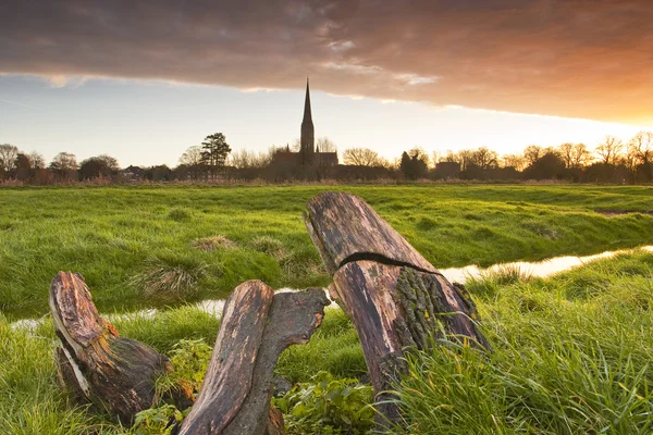 Cathédrale de Salisbury à travers les prairies — Photo