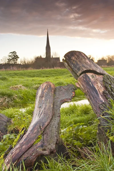 Salisbury cathedral across  meadows — Stock Photo, Image