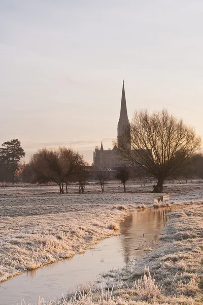 Catedral de Salisbury a través de prados — Foto de Stock