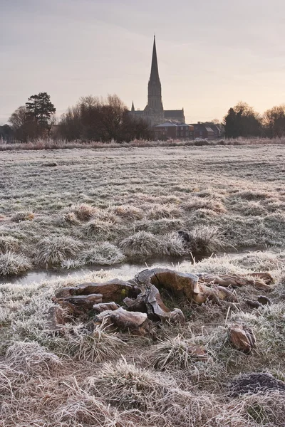 Cattedrale di Salisbury attraverso i prati — Foto Stock