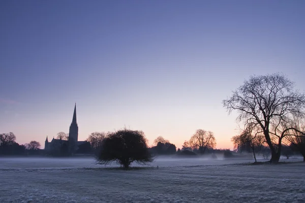 Salisbury-Kathedrale über Wiesen — Stockfoto