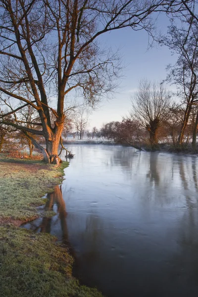 River Avon in Salisbury — Stock Photo, Image