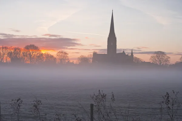 Salisbury Katedrali arasında meadows — Stok fotoğraf