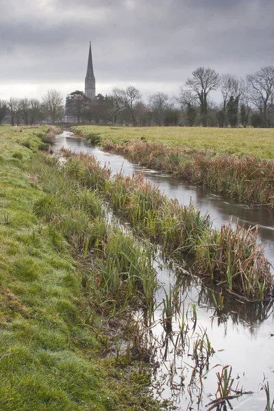 Salisbury cathedral and meadows — Stock Photo, Image