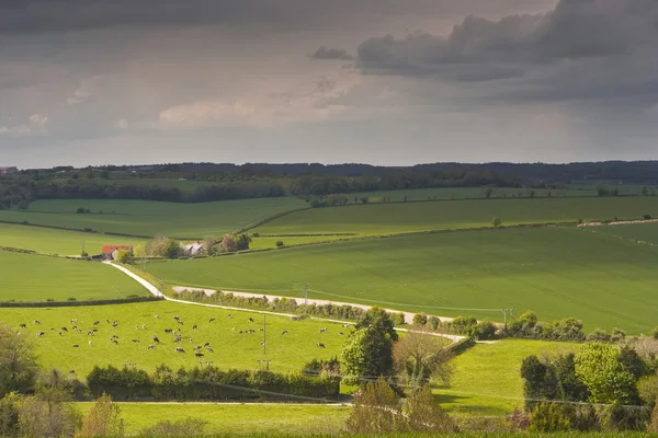 Piękne krajobrazy Dorset — Zdjęcie stockowe