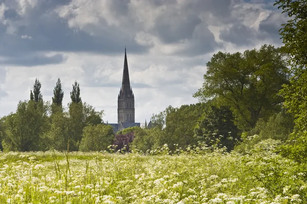 Salisbury-Kathedrale und Wiesen — Stockfoto