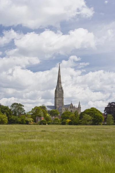 Salisbury cathedral and meadows — Stock Photo, Image