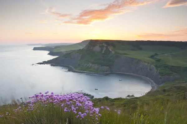 Majestic Chapman's Pool — Stock Photo, Image