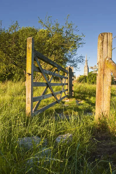 Salisbury cathedral meadows — Stock Photo, Image