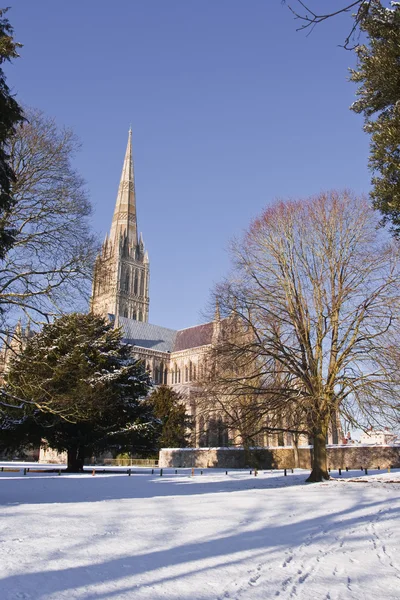Catedral de Salisbury após queda de neve Fotos De Bancos De Imagens