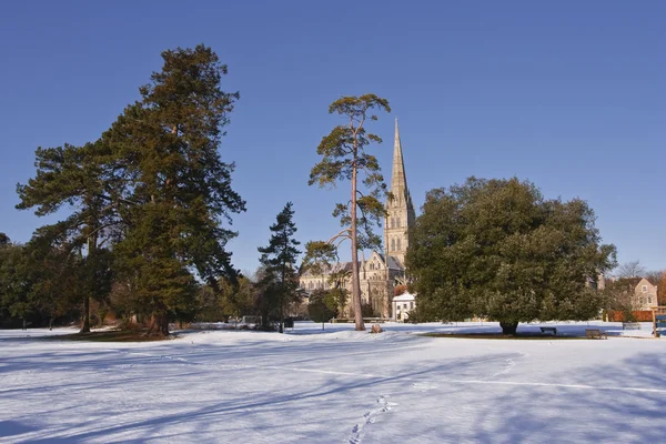 Catedral de Salisbury após queda de neve Fotos De Bancos De Imagens