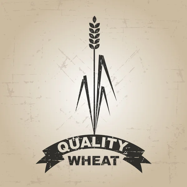 Natural Grunge wheat label — Stock Vector