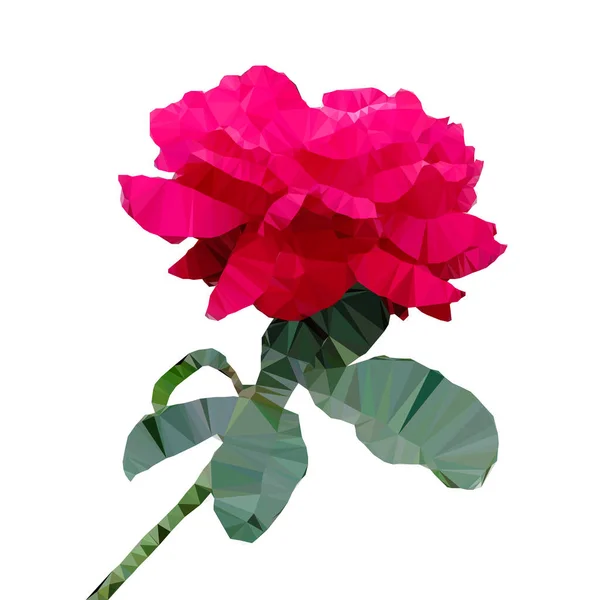 Vettore Immagine Stilizzata Una Rosa Disegnato Dal Metodo Triangolazione Sfondo — Vettoriale Stock