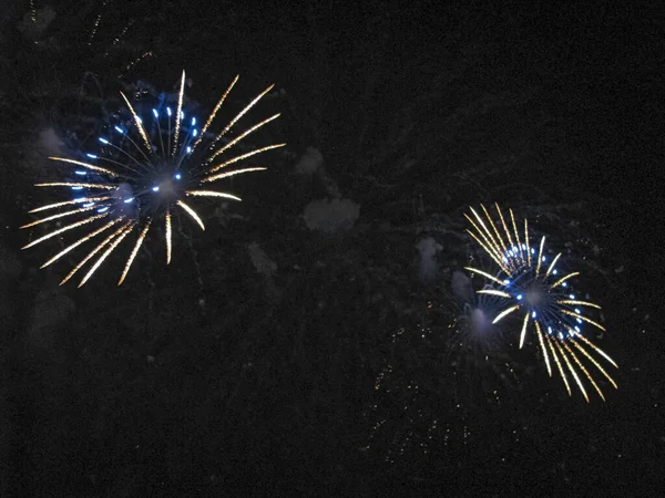 Dos Brillantes Flores Ardientes Florecieron Cielo Oscuro Noche —  Fotos de Stock