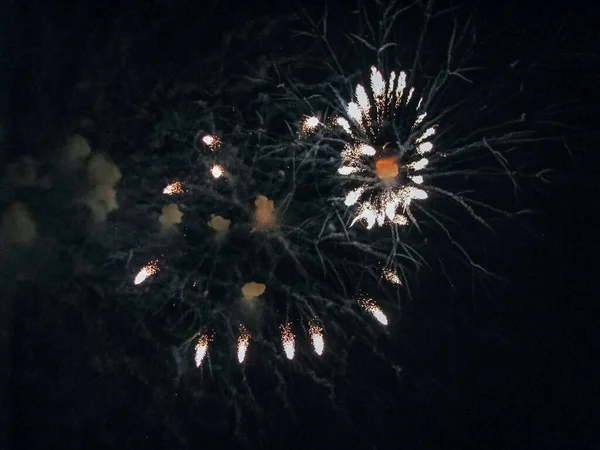 Ein Helles Feuriges Feuerwerk Mit Schneeweißen Blütenblättern Blühte Dunklen Nachthimmel — Stockfoto