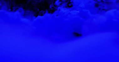 Siyah arkaplanın arkasındaki soyut renk mürekkebi