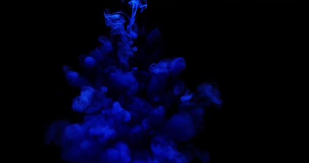 Абстрактне кольорове чорнило за чорним тлом — стокове відео