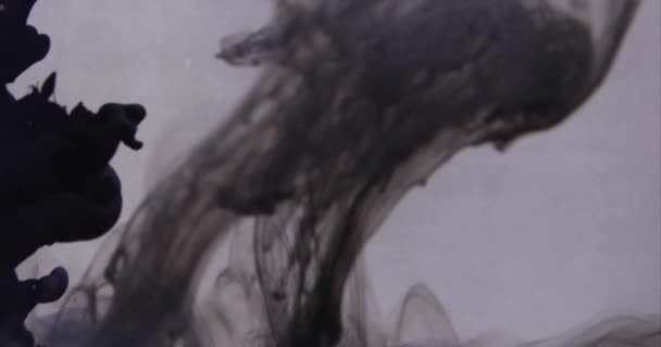 Αφηρημένο μαύρο μελάνι πίσω από γκρι φόντο — Αρχείο Βίντεο