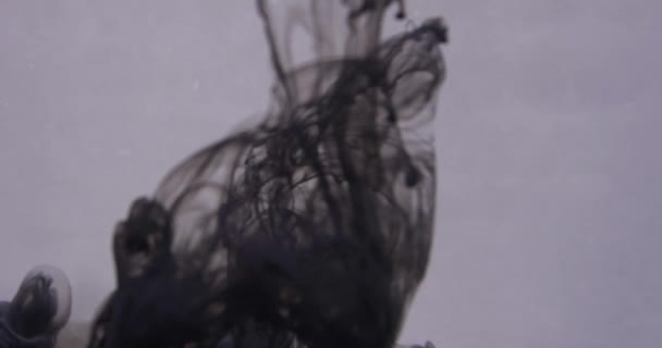 Tinta preta abstrata atrás de fundo cinza — Vídeo de Stock