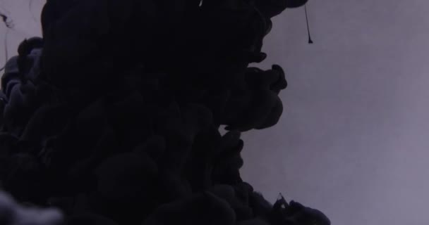 Абстрактне чорне чорнило за сірим тлом — стокове відео