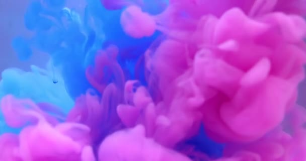 Astratto inchiostro di colore blu e rosa dietro sfondo grigio — Video Stock