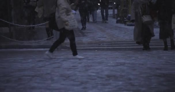 Wandelen mensen op de stedelijke straat in Shinjuku Tokio sneeuwen handheld — Stockvideo