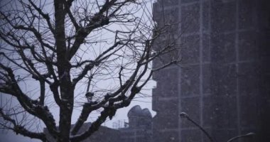 Shinjuku Tokyo 'da kar yağışı