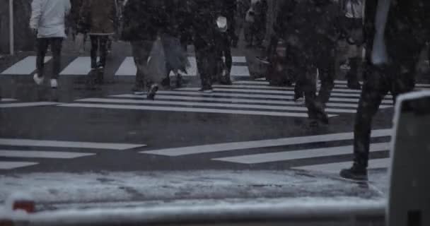 Shinjuku Tokyo 'da şehir caddesinde yürüyen insanlar kar yağıyor. — Stok video