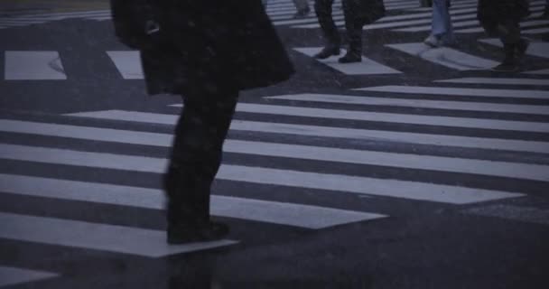 新宿の街歩き｜雪上車いすバリアフリー観光案内 — ストック動画