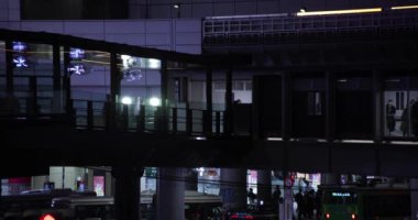 Shibuya 'nın neon kasabasındaki neon reklam panoları.