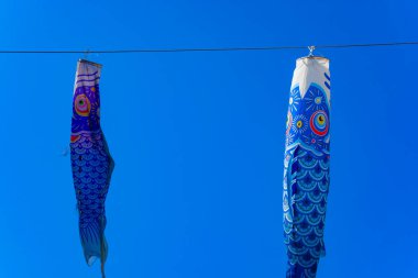 Tokyo gündüz güneşli parkta sazan streamer