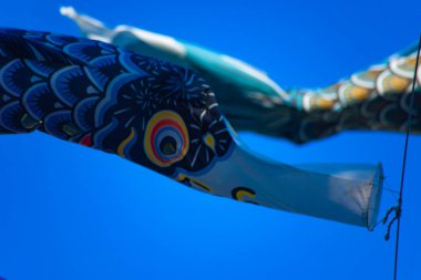 Tokyo gündüz güneşli parkta sazan streamer