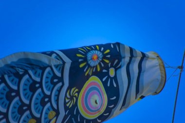 Tokyo gündüz güneşli parkta sazan streamer