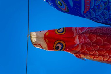 Tokyo gündüz güneşli parkta sazan streamer