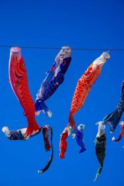 Tokyo gündüz güneşli parkta sazan streamer