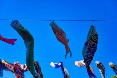 Tokyo gündüz güneşli parkta sazan streamer