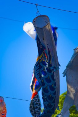 Tokyo gündüz güneşli parkta sazan streamer