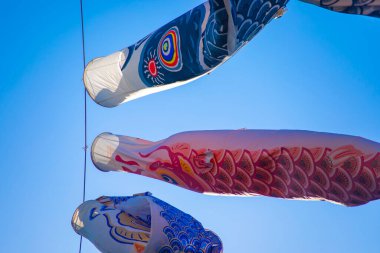 Tokyo gündüz güneşli parkta sazan streamer