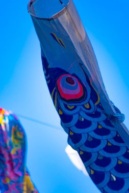 Tokyo gündüz güneşli parkta sazan streamer